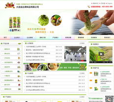 大連網(wǎng)站建設與設計服務全解析 新圖聞科技如何助力企業(yè)數(shù)字化轉型